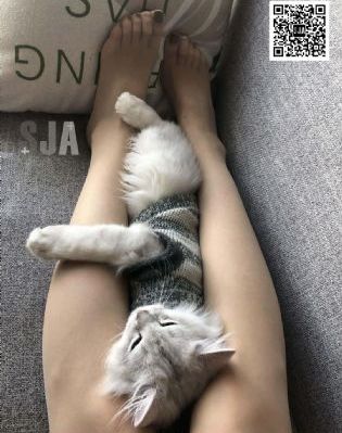 日韩伦理片免费看