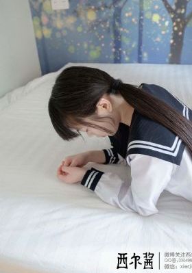 布鲁伊第三季