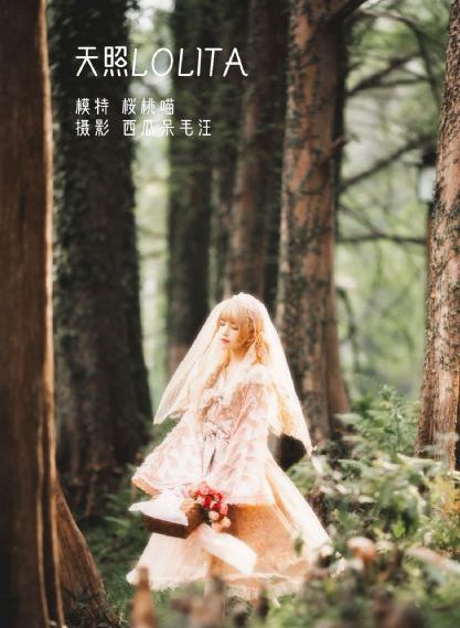 高清免费在线观看