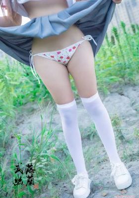 柳舟记 电视剧免费观看全集高清