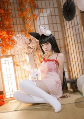 欧美精品不卡