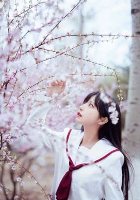 樱桃电影在线观看